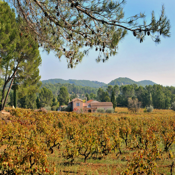 Vente Immobilier Professionnel Terrains Draguignan 83300